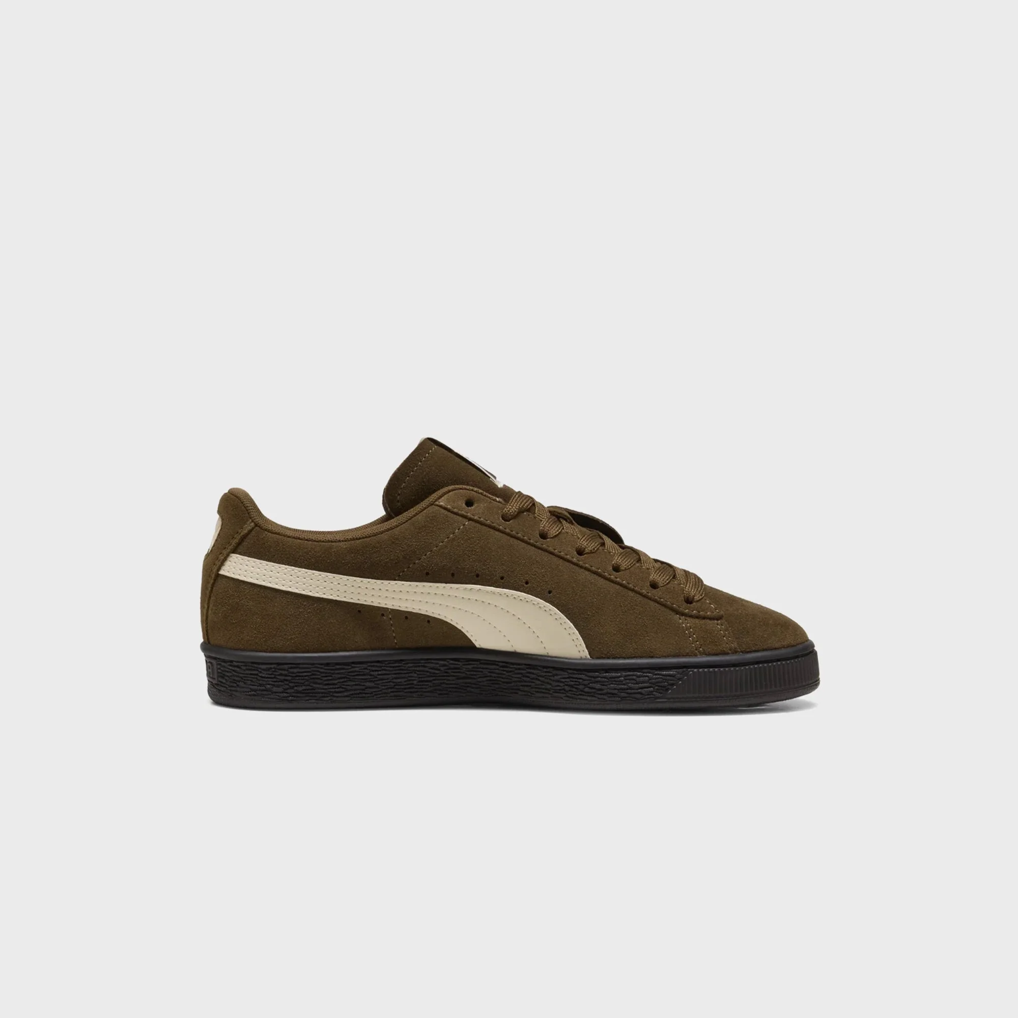 PUMA Suede Charles F. Stead VI - Aged Copper / Alpine Snow